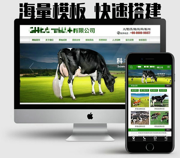 東明網(wǎng)站建設(shè)制作每年怎么收費